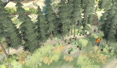 Спрятанные грибы