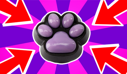 Лапки Сквиш Эволюция