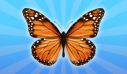 Бабочки: 2048!