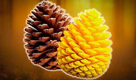 Соединяй: Из Семечки в Шишку!