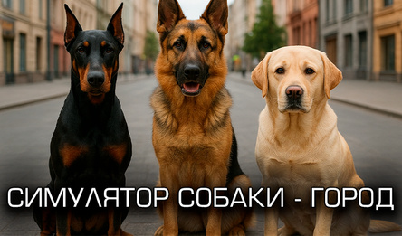 Симулятор собаки - город