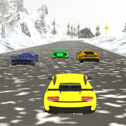 Snow Fast Hill Track Racing