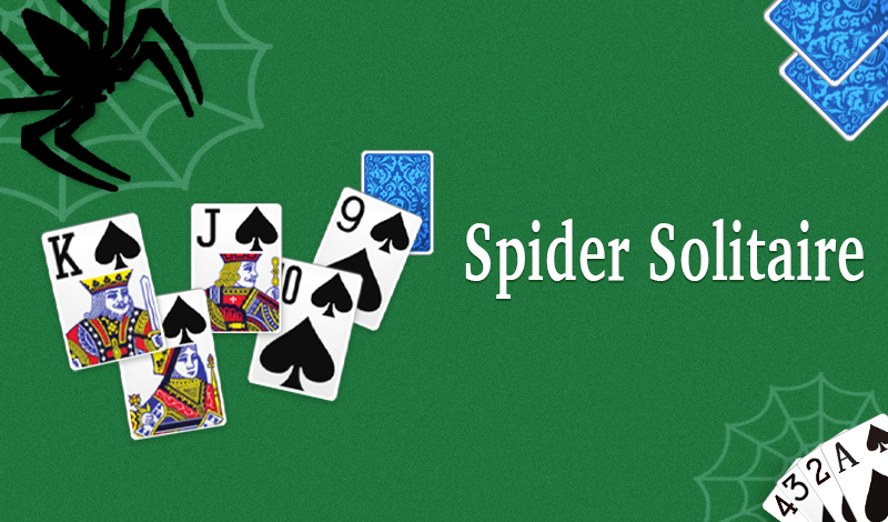 Spider Solitaire: free online card game, play full-screen without