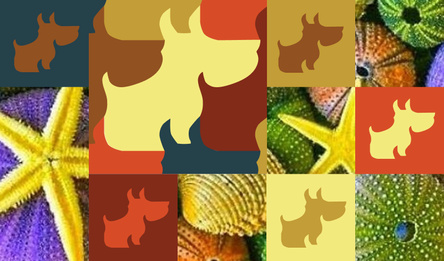 Собаки - Куча пазлов