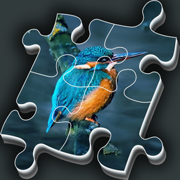 World Puzzles - Birds