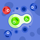 Эволюция Шаров