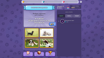 Викторина: Кошки и собаки