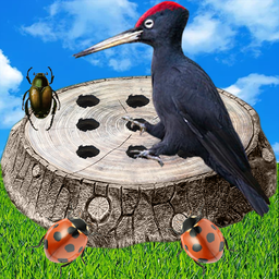 Angry Woodpecker