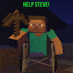 Help Steve!