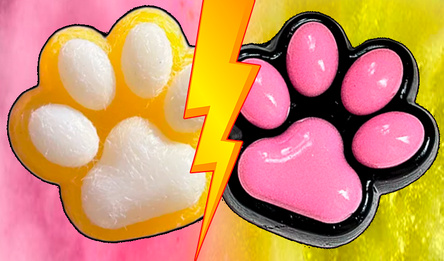 Таба Лапки Слияние Эволюция