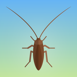 Cockroach