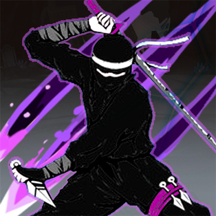 The Ninja Assassin