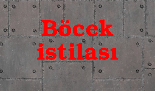 Böcek istilası