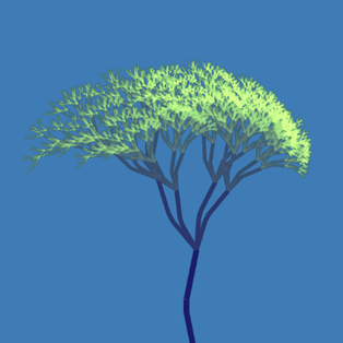 Fractal trees