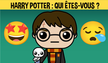 Harry Potter : Qui êtes-vous ?
