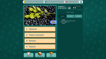 Викторина: Фрукты и овощи