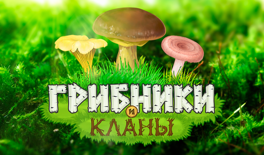 Развивающая игра на липучках о лесных грибах скачать бесплатно и распечатать Игр
