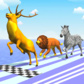 Animal Race