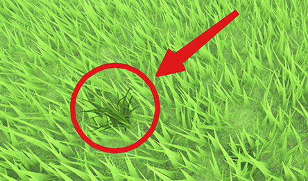 Обби: Будь Травой