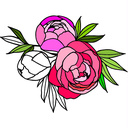 Раскраска Цветы