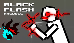 Black flash ragdoll