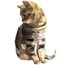 Stray Kitty