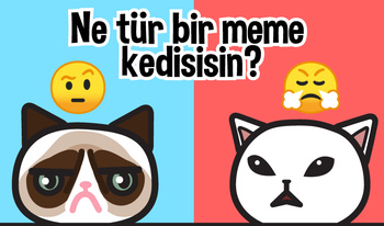 Ne tür bir meme kedisisin?