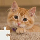 Puzzle Kittens