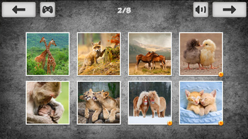 Пазлы с Животными: Головоломка