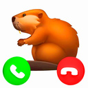 Позвони Сидим С Бобром За Столом!