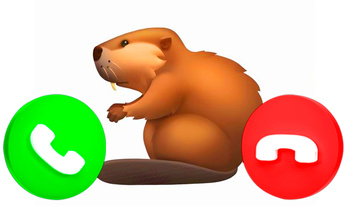 Позвони Сидим С Бобром За Столом!