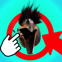 Скебоб Эволюция