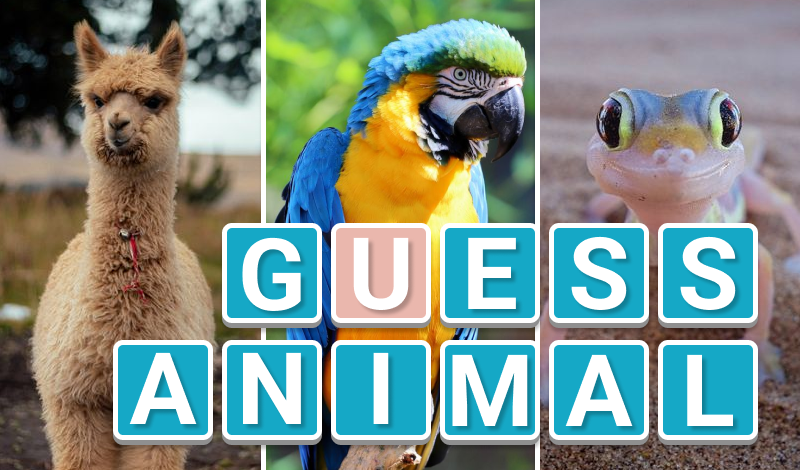 Guess Animal — play online for free on Yandex Games