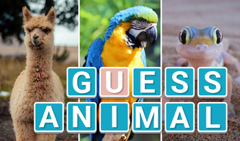 Guess Animal