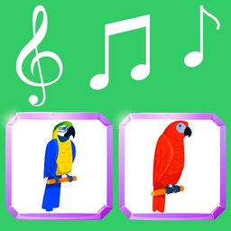 Sounds of Parrots