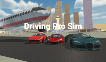 Driving Pro Sim
