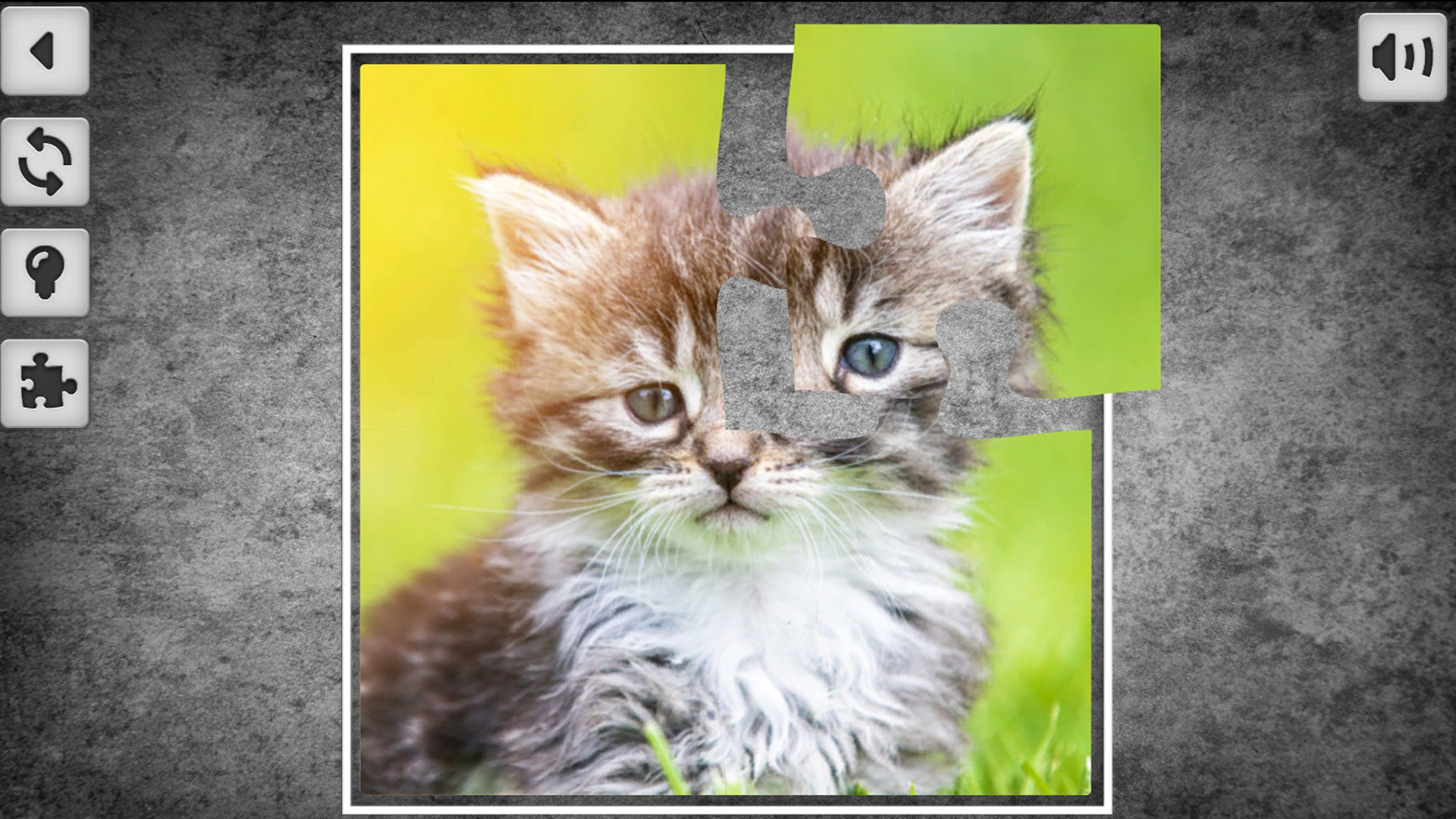 Yosh ayolni olomon eshagiga sikishdi