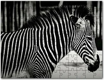 Cakapuzzle Benzersiz Deseniyle Zebra Yakın Çekim 1000 Parça Puzzle