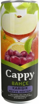 Cappy Karışık Meyve Nektarı Kutu 330 Ml 12'li Koli