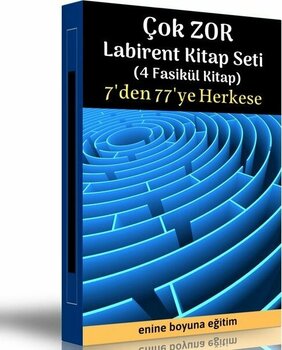 Çok Zor Labirent Kitap Seti (4 Fasikül Kitap)