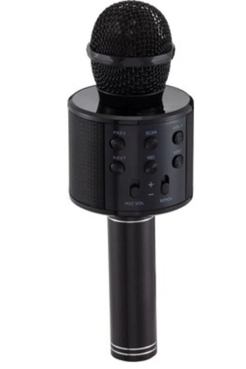 BLUE SPECTRUM WS-858 Siyah Bluetooth Aux Usb Sd Kart Girişli Karaoke Mikrofon