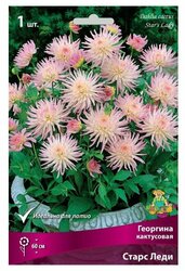 Основная фотография от вендора