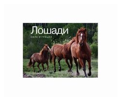 Основная фотография от вендора