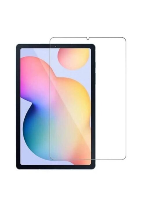 BlitzPower Samsung Galaxy Tab S6 Lite P610 Nano Cam Ekran Koruyucu
