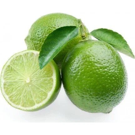 5 Yaş Lime (Meksika) Limonu Fidanı