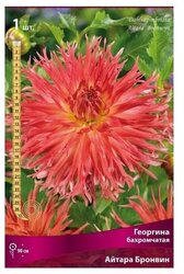 Основная фотография от вендора