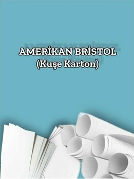 Orbak Kağıtçılık 230 Gr. Amerikan Bristol Kağıt Karton 70X100 50 Adet