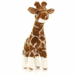 Основная фотография от вендора