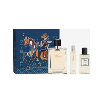 Hermes Terre D'hermès, Eau De Toilette 100ML Erkek Parfüm Seti