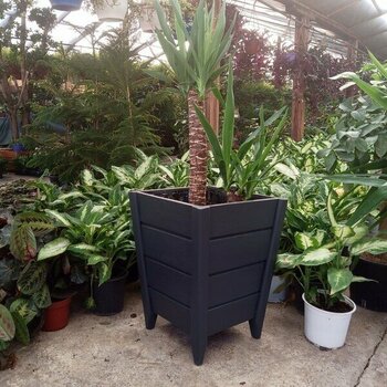 Evmodo Ahşap Saksı Dış Mekan Çiçeklik Ahşap Dekoratif Bahçe Saksısı Antrasit